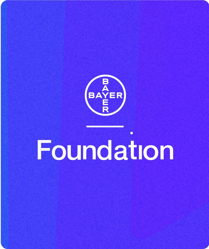 Mosaico Awards Image 8